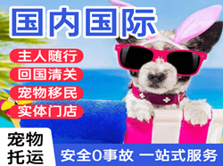 衢州空运地址国际宠物托运 【国